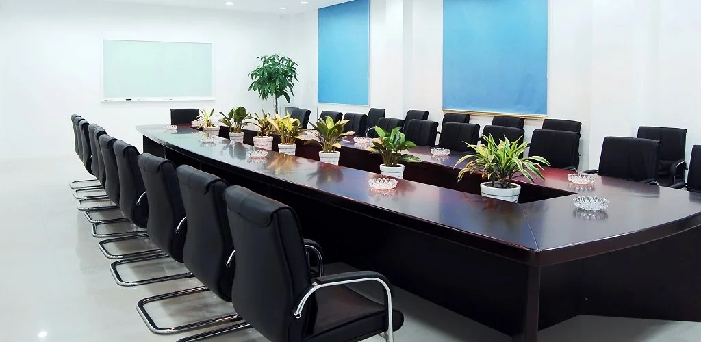 Establish a Subsidiary in Finland
